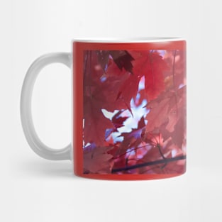 The Beauty of Fall Mug